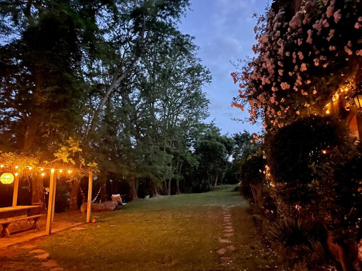 Collina Blu Bed & Breakfast Bolsena Dış mekan fotoğraf