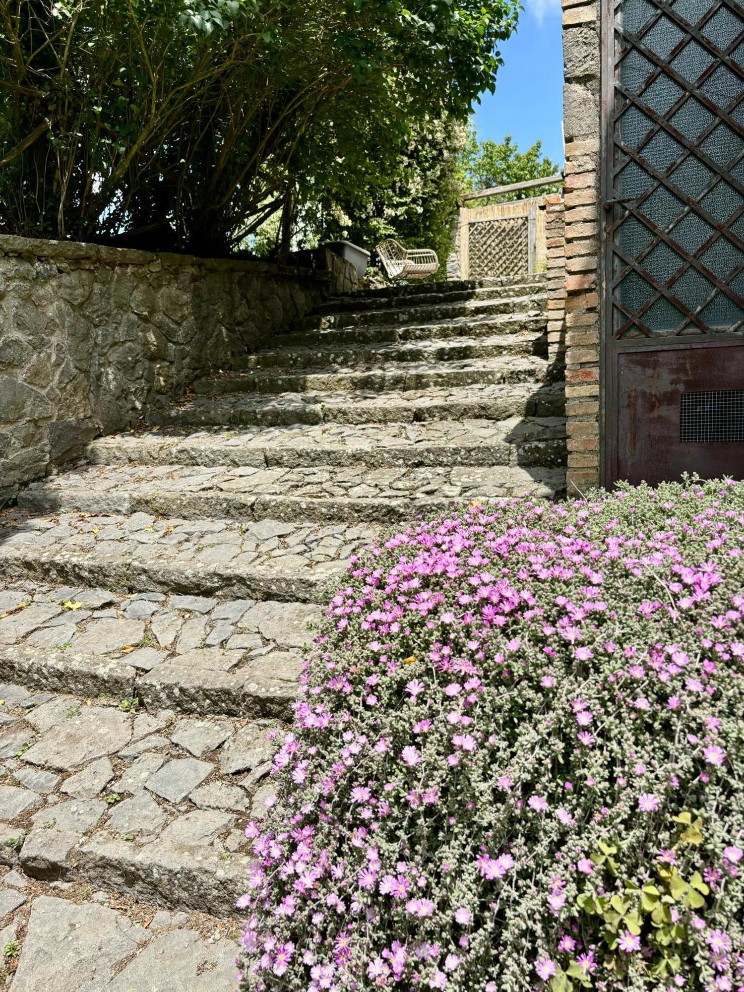 Collina Blu Bed & Breakfast Bolsena Dış mekan fotoğraf