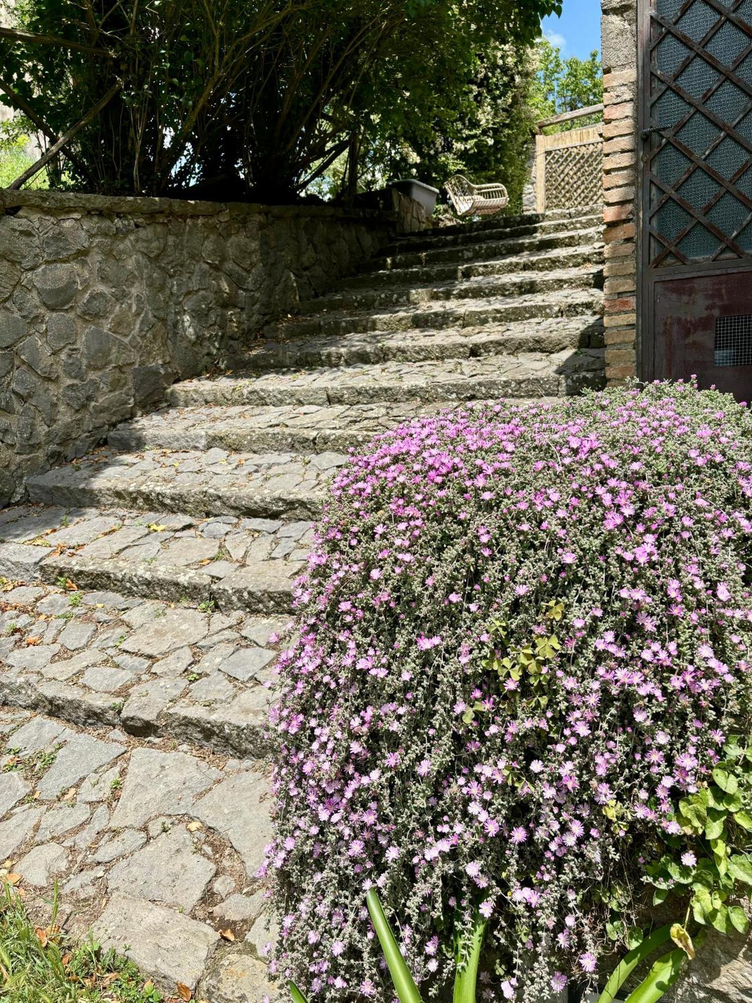 Collina Blu Bed & Breakfast Bolsena Dış mekan fotoğraf