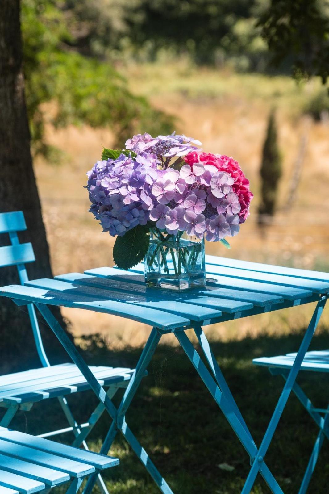 Collina Blu Bed & Breakfast Bolsena Dış mekan fotoğraf