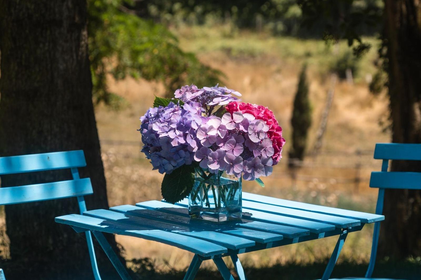 Collina Blu Bed & Breakfast Bolsena Dış mekan fotoğraf